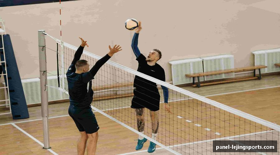 阐述乐竟体育注册登录